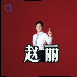 赵丽